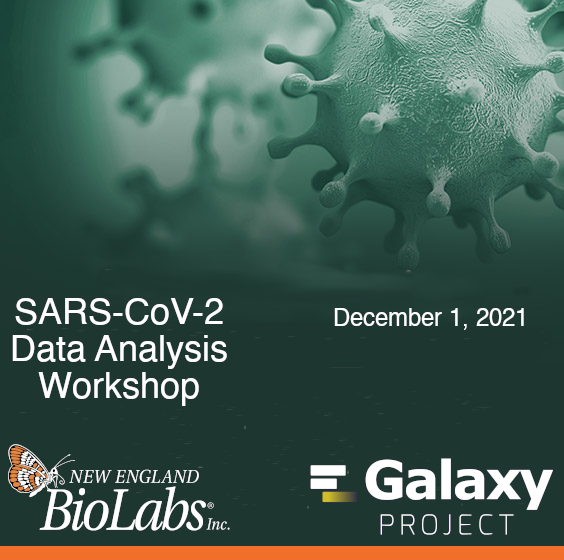 sars-cov-2-workshop