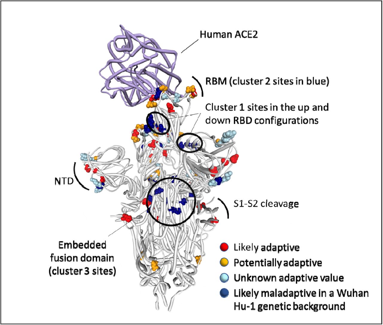 Graphical Abstract