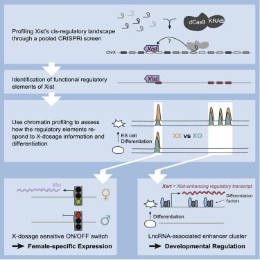 Graphical Abstract