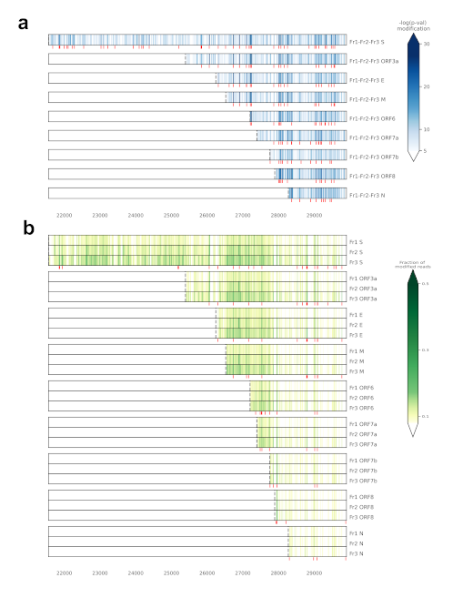 Modified RNA regions