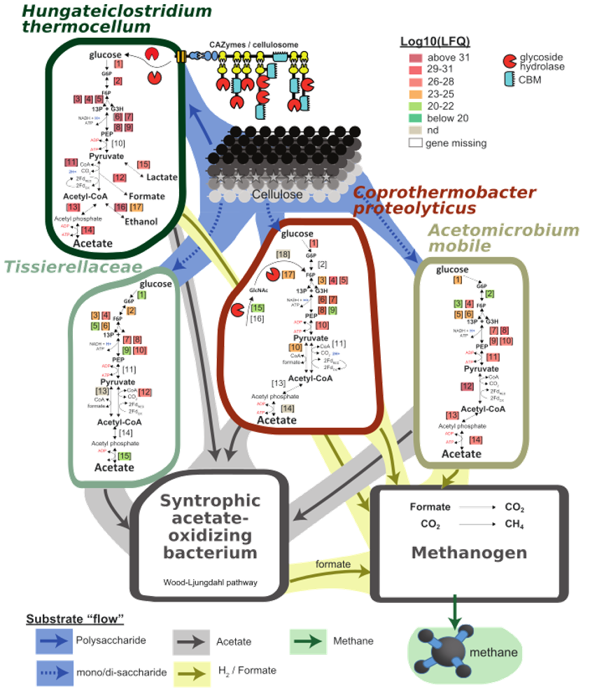 CARBON FLOW FIGURE