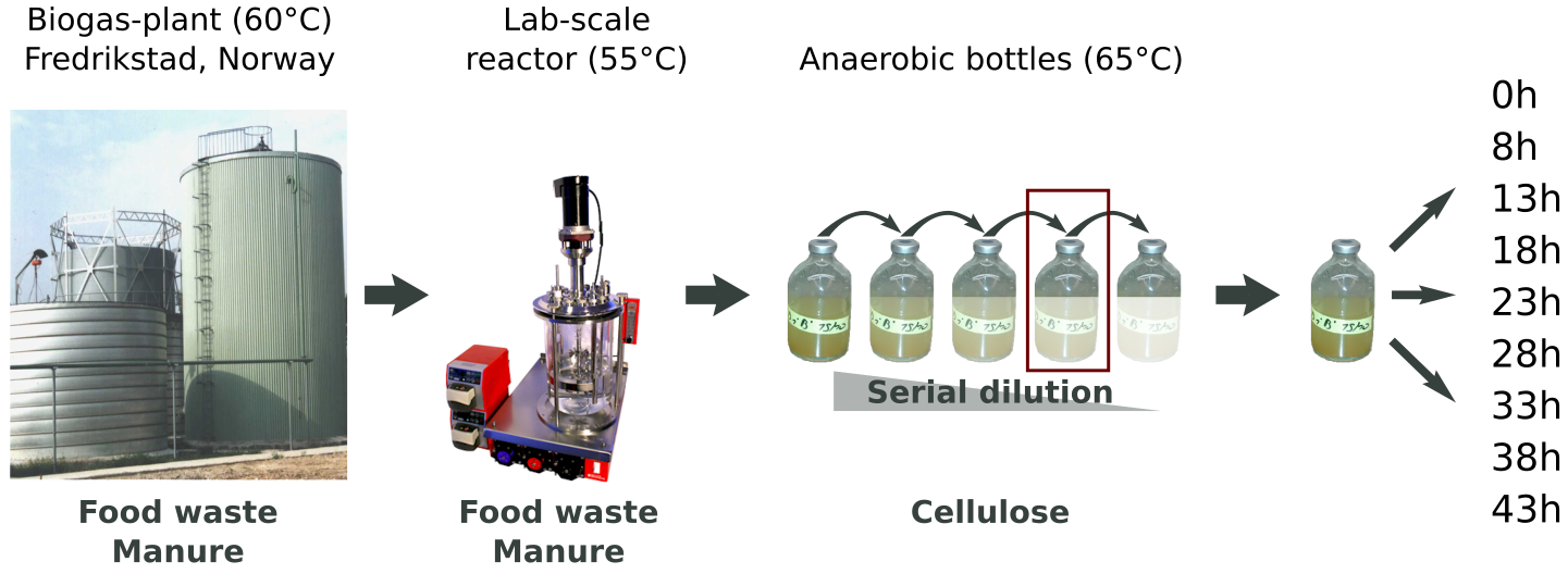 DATASET FIGURE