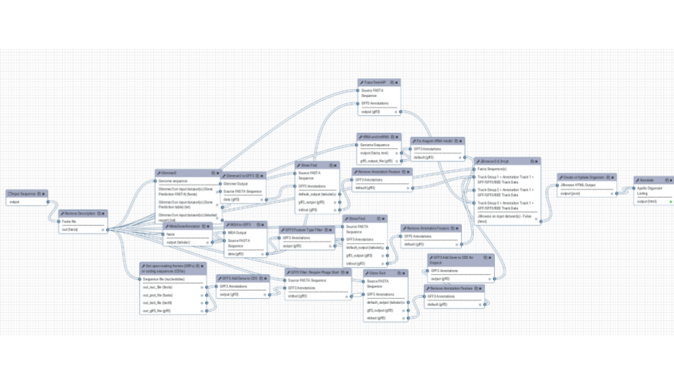 functional annotation with Galaxy and Apollo