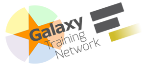 Galaxy Training Network