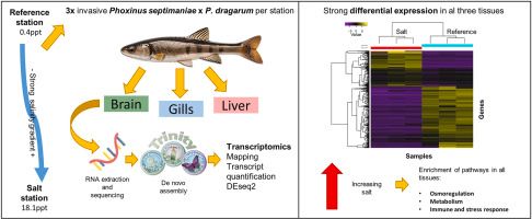 Graphical Abstract