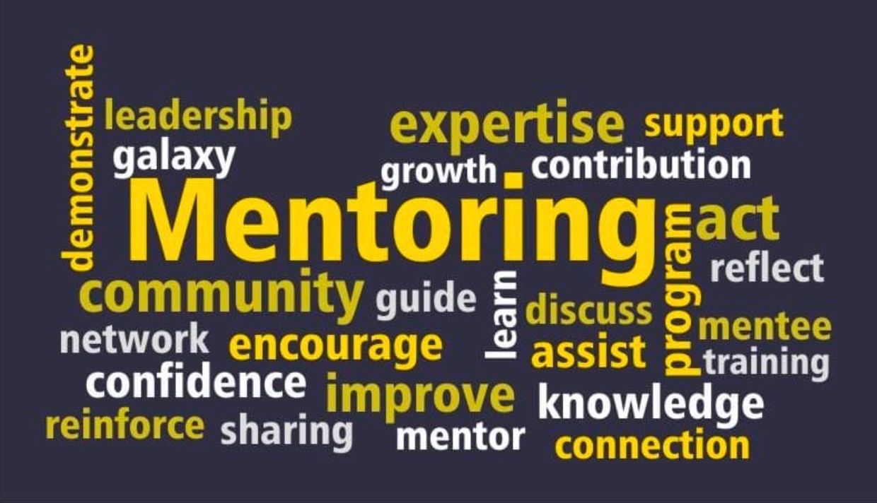 Galaxy Mentoring Network