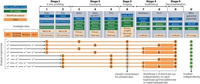 VGP Workflow