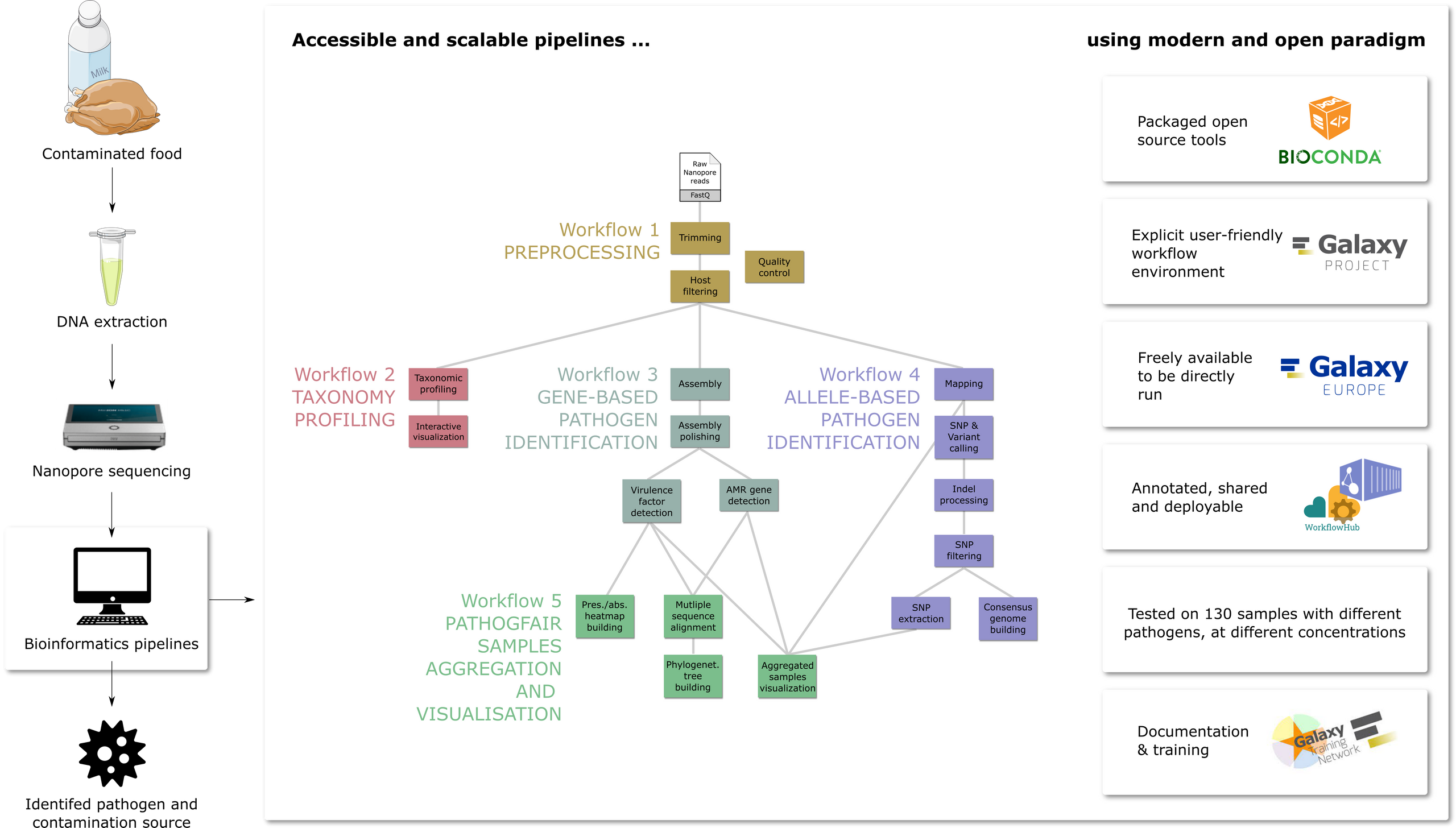 Graphical abstract showing in which pathogen investigation step the workflows are applied, on the left side. Then in the middle, is a summary of all 5 workflows forming PathoGFAIR (Preprocessing, Taxonomy Profiling, Gene-based Pathogen Identification and Allele-based Pathogen Identification). Finally on the right side, the workflows features are highlighted