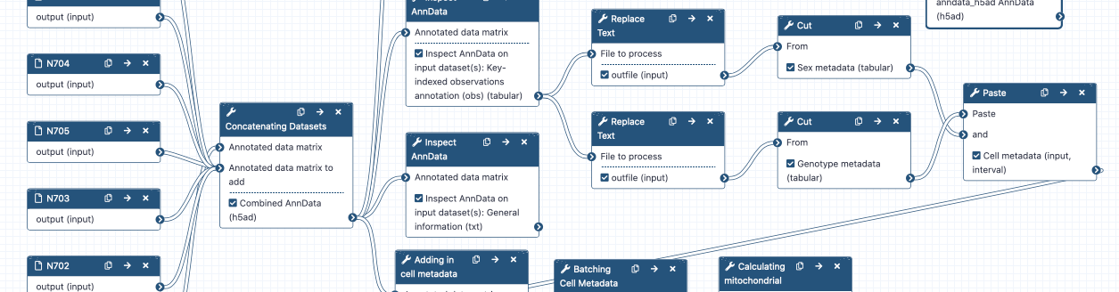 Alevin Workflow