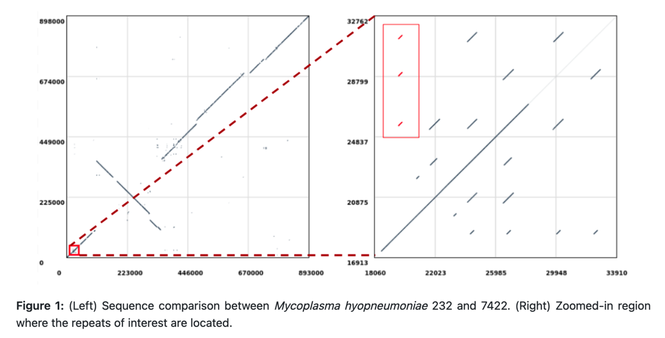 Comparison