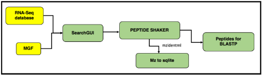 Database search workflow