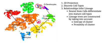 GTN scRNA Clustering example