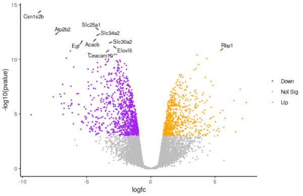 A customized Volcano Plot