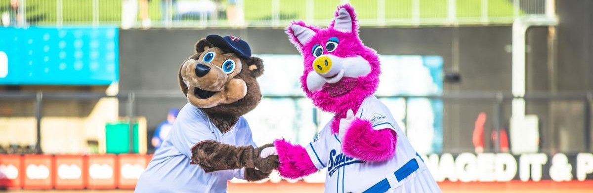 Baseball! The Twins and Saints mascots shake hands.