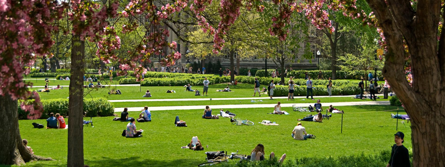 University of Minnesota Northrup Mall