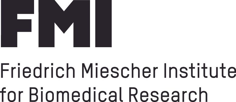 logo FMI