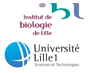 Galaxy: un environnement d'analyses bioinformatiques