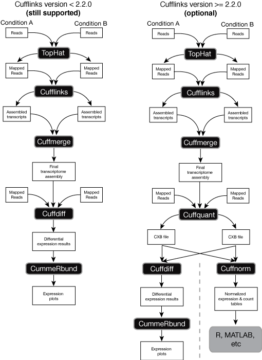 CuffLinks workflow