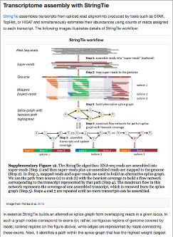 Reference based RNA seq