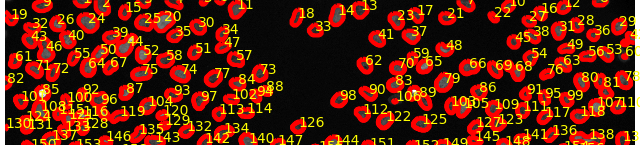 Viz segmentation