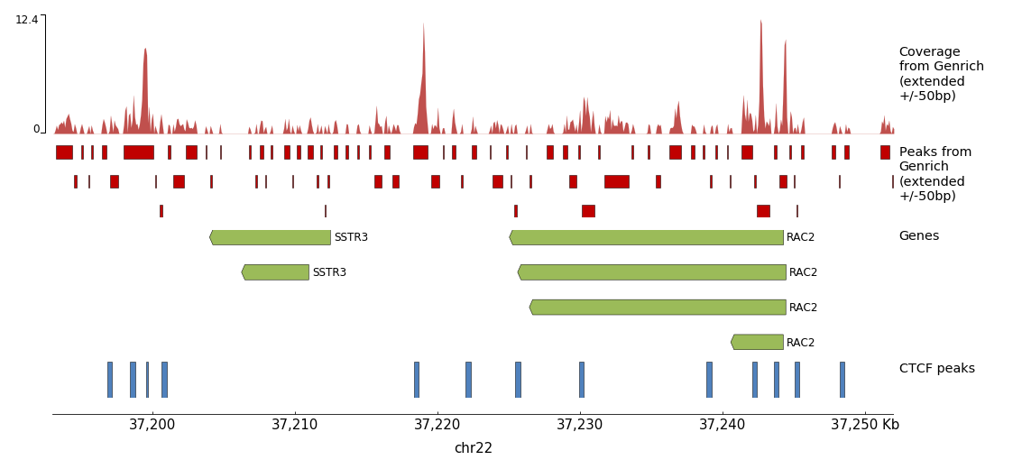 Visualizing output in pyGenomeTracks