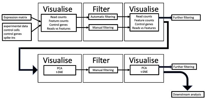 scater workflow