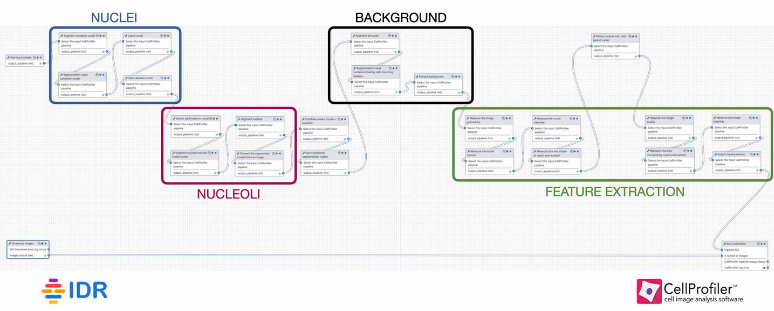 IDR to Cell Profiler