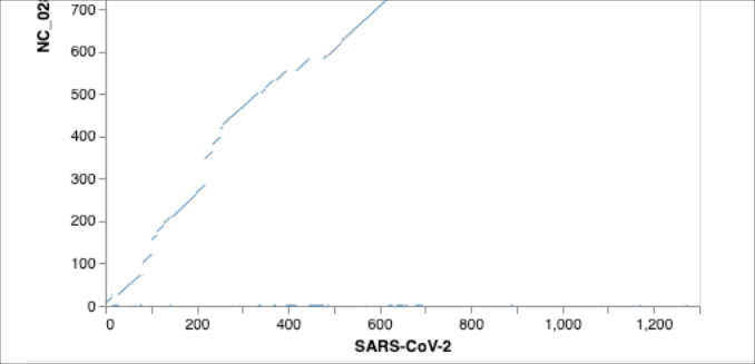 Comparing Coronaviruses