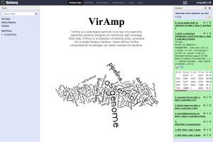 VirAmp